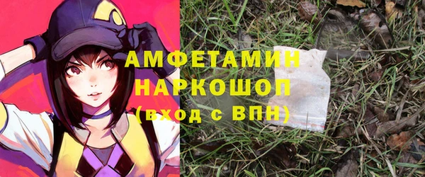 ГАЛЛЮЦИНОГЕННЫЕ ГРИБЫ Карталы