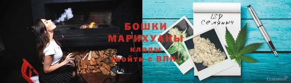 прущие грибы Касимов