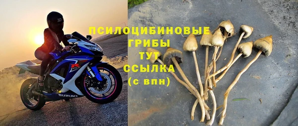 ГАЛЛЮЦИНОГЕННЫЕ ГРИБЫ Карталы
