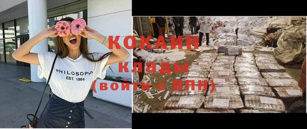 прущие грибы Касимов
