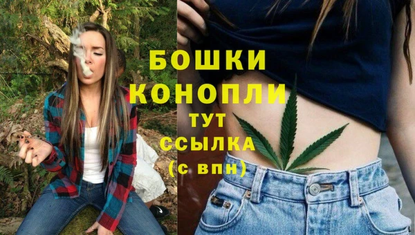 дмт Каменка