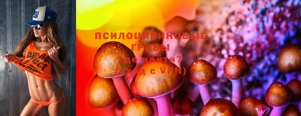 прущие грибы Касимов