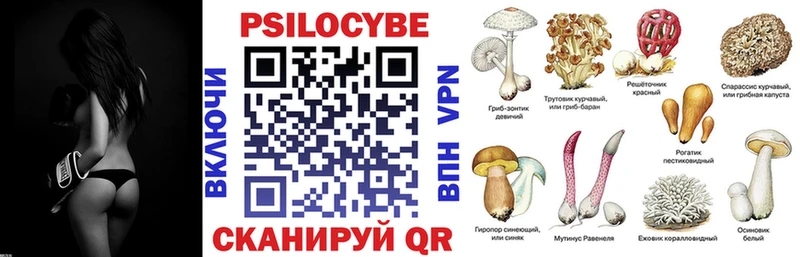 наркота  Клин  Галлюциногенные грибы Psilocybe 