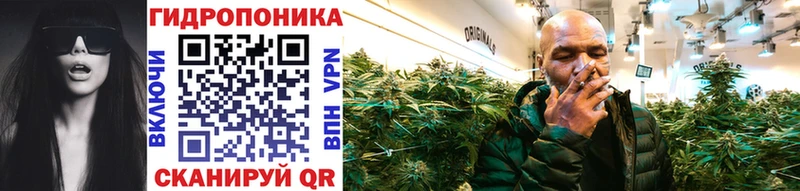 Канабис THC 21%  продажа наркотиков  Клин 